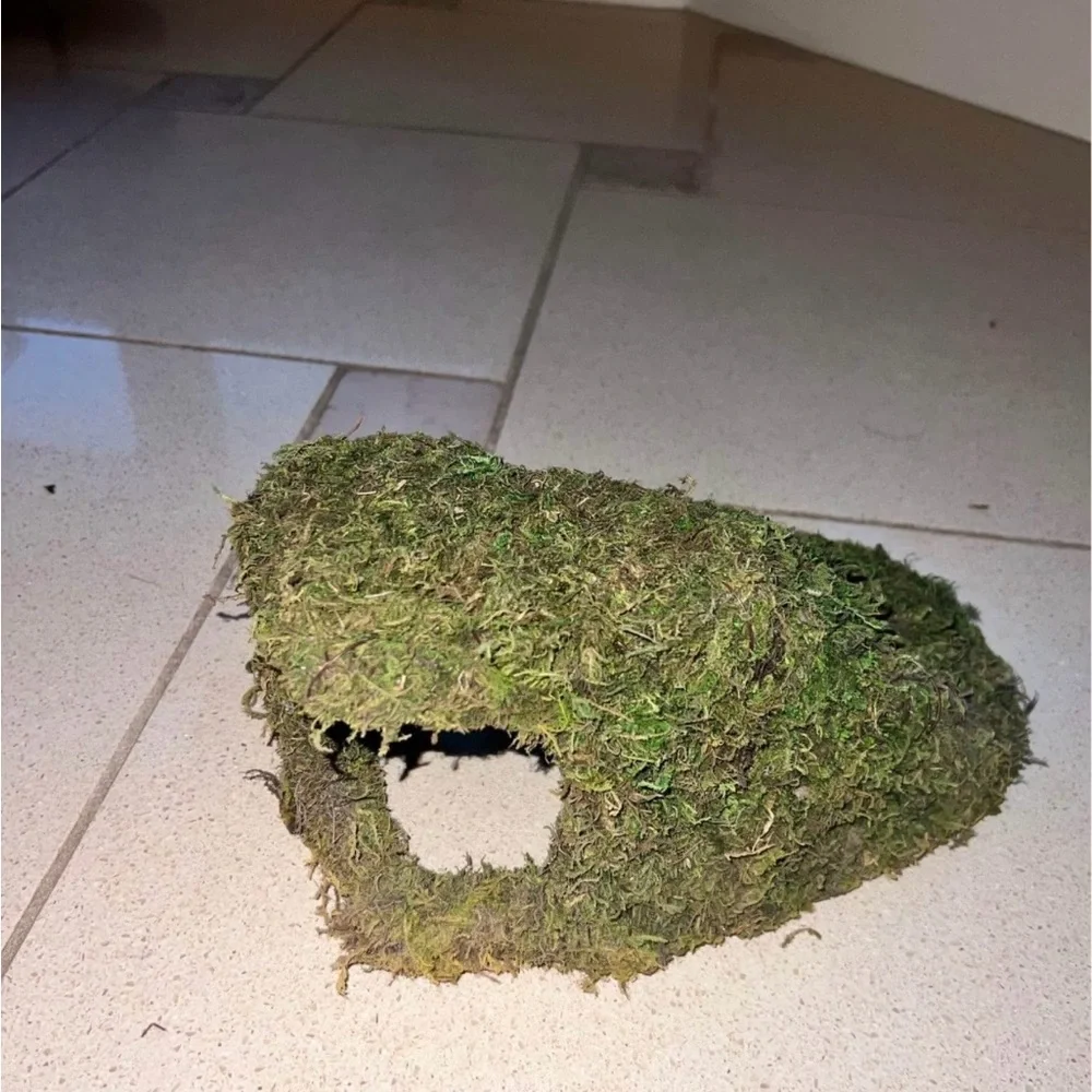 Hermit Crab / Reptile Tank Set up